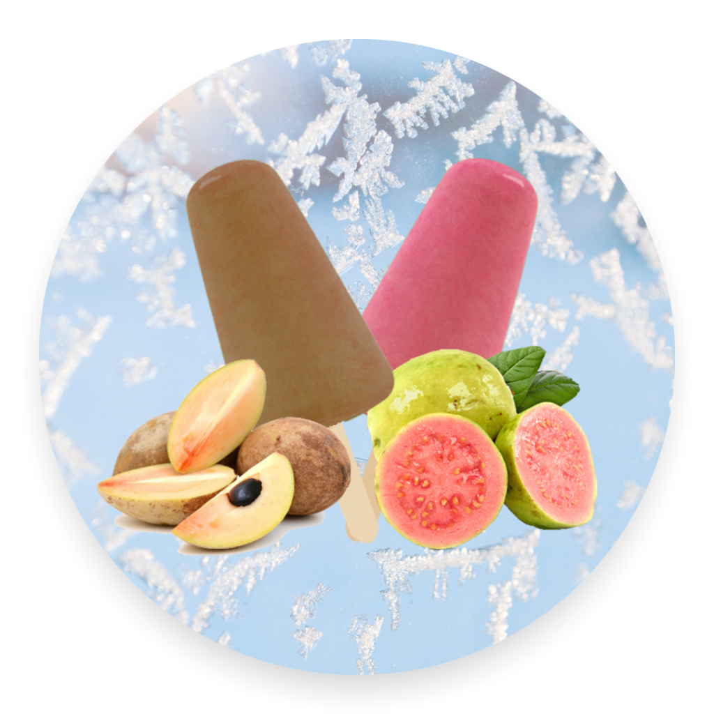 Natural kulfi sticks